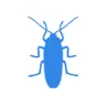 Уничтожение тараканов в Новосиньково